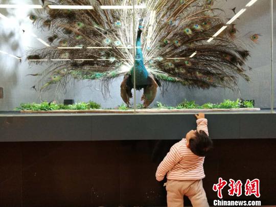 圖為展覽現場?！『h航 攝