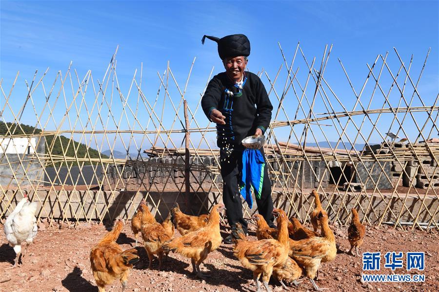 （新華全媒頭條&middot;奮進(jìn)新時代&middot;迎接兩會特別報道&middot;圖文互動）（5）新征程，向著偉大夢想前進(jìn)&mdash;&mdash;從黨的十九大到2018年全國兩會
