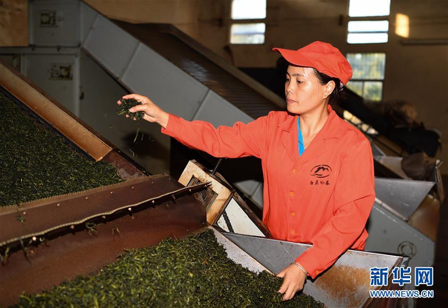 （兩會(huì)&middot;基層代表履職故事）（7）全國人大代表符小琴：讓家鄉(xiāng)在改革開放中發(fā)展得更好