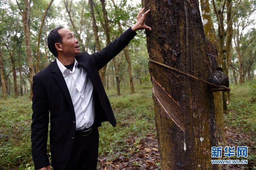 （兩會&middot;基層委員履職故事）（6）全國政協(xié)委員羊風(fēng)極：讓家鄉(xiāng)在鄉(xiāng)村振興中發(fā)展得更好