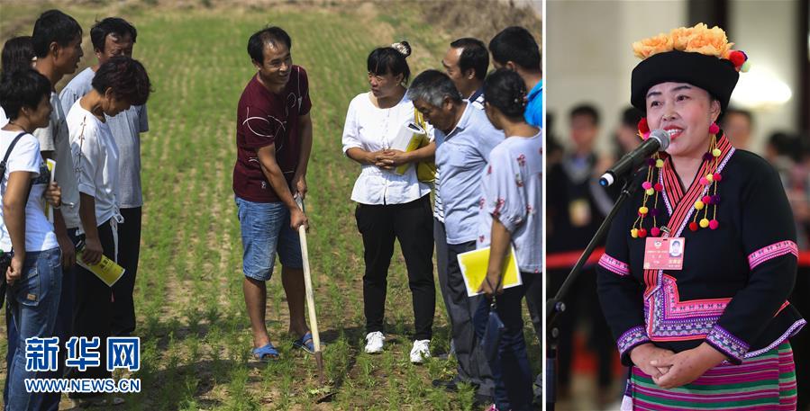 （兩會&middot;影像鏈接）全國政協(xié)委員張敏：培養(yǎng)新型農(nóng)民 助力脫貧攻堅(jiān)