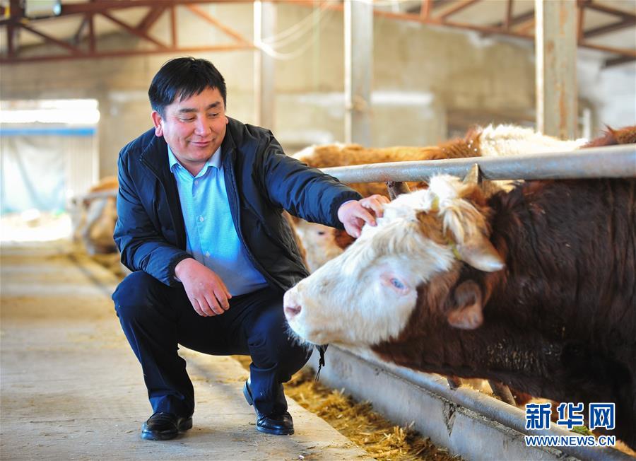 （兩會(huì)&middot;基層代表履職故事）（4）全國(guó)人大代表吳云波：共享新時(shí)代發(fā)展成果