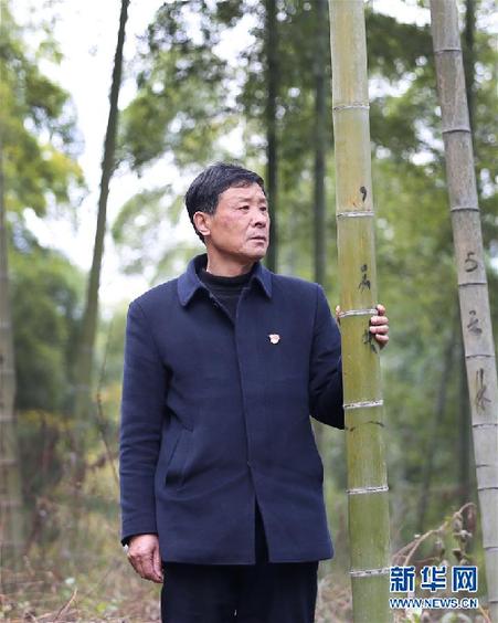 (改革先鋒風(fēng)采·圖文互動(dòng))(1)鮑新民:“綠水青山就是金山銀山”理念的踐行者