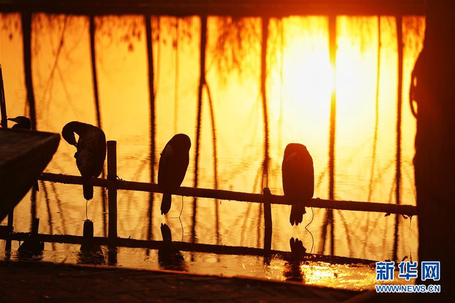 (新華全媒頭條·圖文互動(dòng))(8)“雄安大計(jì)”躍然紙上 “未來(lái)之城”呼之欲出——《河北雄安新區(qū)總體規(guī)劃》解讀