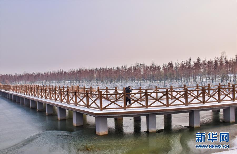 （在習(xí)近平新時(shí)代中國(guó)特色社會(huì)主義思想指引下&mdash;&mdash;新時(shí)代新作為新篇章&middot;圖文互動(dòng)）（4）水綠相間看古都 古今輝映洛陽(yáng)城