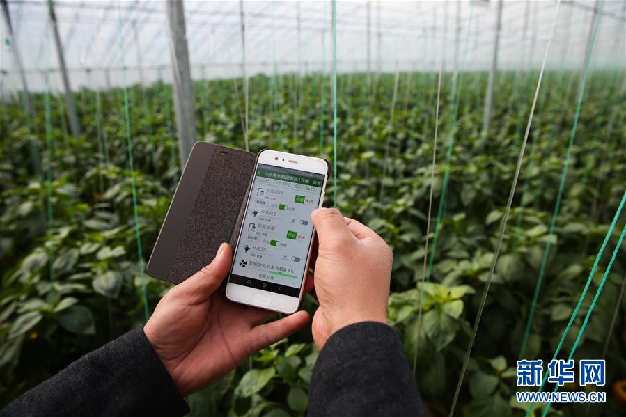 （新華全媒頭條&middot;圖文互動）（8）聚焦高質(zhì)量，躍上新臺階&mdash;&mdash;新年開局看中國經(jīng)濟(jì)信心和潛力