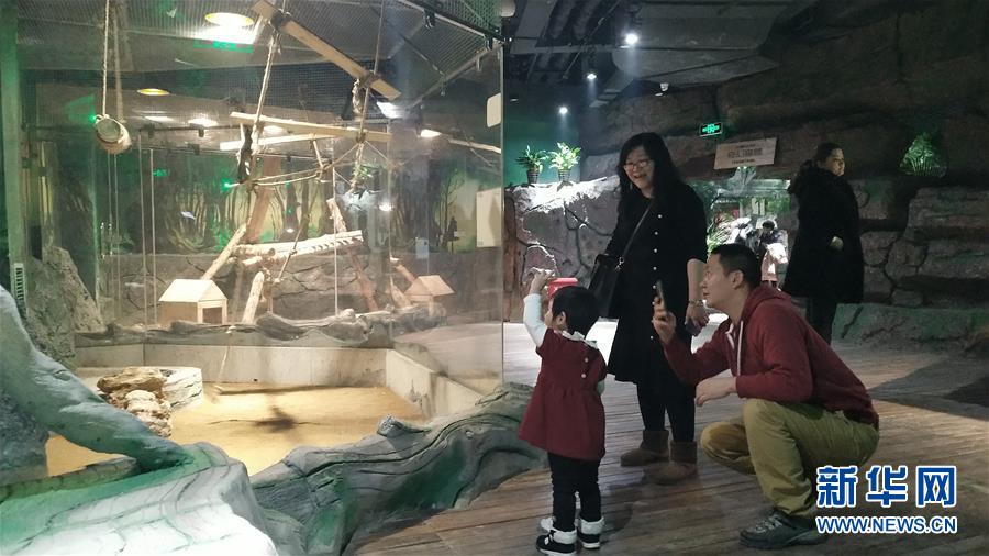 （新春走基層&middot;圖文互動）（1）新疆&ldquo;新年俗&rdquo;：動物王國學(xué)知識 冰雪世界強身體