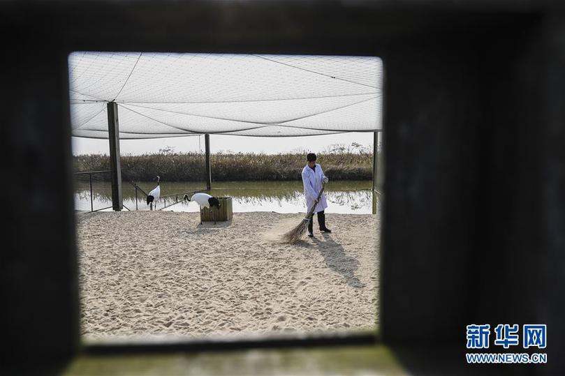 （兩會前夕看落實&middot;圖文互動）（3）綠色發(fā)展引領(lǐng) 守護&ldquo;魚米之鄉(xiāng)&rdquo;&mdash;&mdash;江蘇落實習近平總書記全國兩會重要講話精神紀實