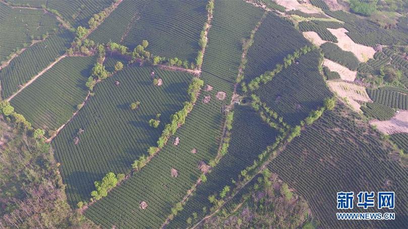 （兩會前夕看落實&middot;圖文互動）（9）綠色發(fā)展引領(lǐng) 守護&ldquo;魚米之鄉(xiāng)&rdquo;&mdash;&mdash;江蘇落實習近平總書記全國兩會重要講話精神紀實