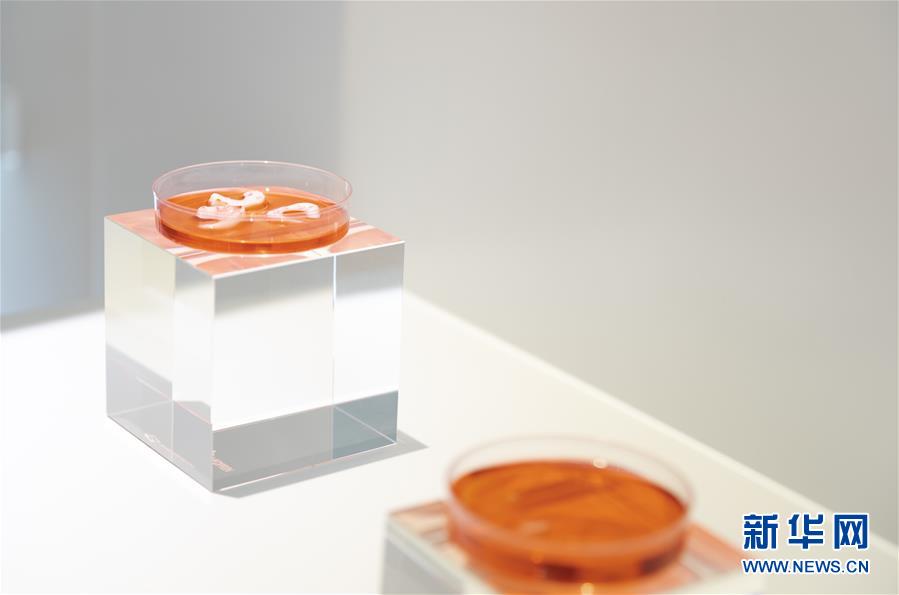 （兩會前夕看落實&middot;圖文互動）（4）&ldquo;三個第一&rdquo;催奮進 珠江潮起再出發(fā)&mdash;&mdash;廣東落實習(xí)近平總書記全國兩會重要講話精神紀實