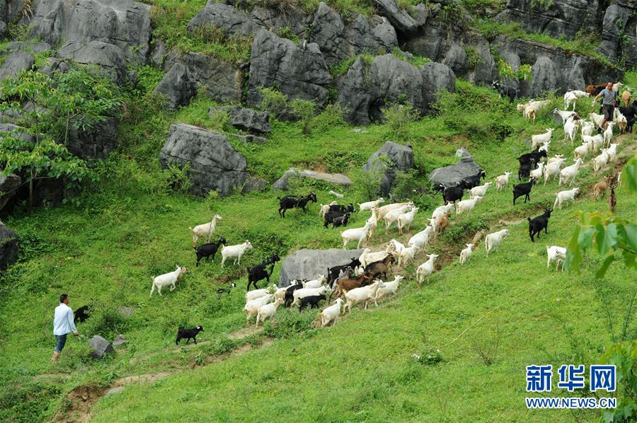 （兩會前夕看落實(shí)&middot;圖文互動）（2）決戰(zhàn)脫貧攻堅(jiān) 奮力后發(fā)趕超&mdash;&mdash;貴州落實(shí)習(xí)近平總書記全國兩會重要講話精神紀(jì)實(shí)