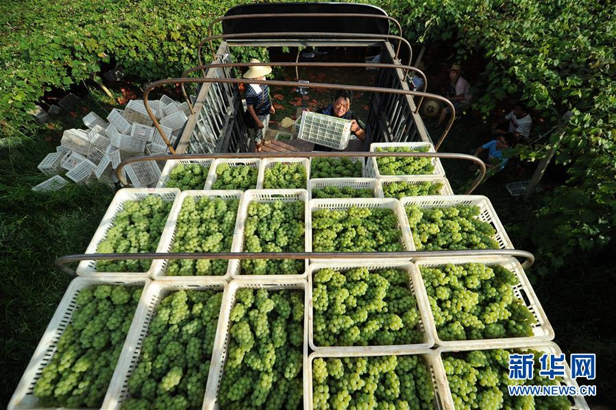 （兩會前夕看落實(shí)&middot;圖文互動）（7）決戰(zhàn)脫貧攻堅(jiān) 奮力后發(fā)趕超&mdash;&mdash;貴州落實(shí)習(xí)近平總書記全國兩會重要講話精神紀(jì)實(shí)