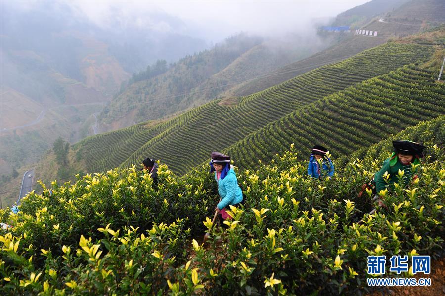 （兩會前夕看落實(shí)&middot;圖文互動）（8）決戰(zhàn)脫貧攻堅(jiān) 奮力后發(fā)趕超&mdash;&mdash;貴州落實(shí)習(xí)近平總書記全國兩會重要講話精神紀(jì)實(shí)