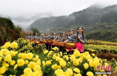 &ldquo;最中國美鄉(xiāng)村&rdquo;江西省婺源縣。胡敦煌 攝