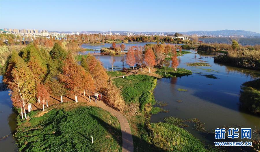 （在習(xí)近平新時(shí)代中國(guó)特色社會(huì)主義思想指引下&mdash;&mdash;新時(shí)代新作為新篇章&middot;圖文互動(dòng)）（5）高原春來(lái)早 云嶺開(kāi)新篇 