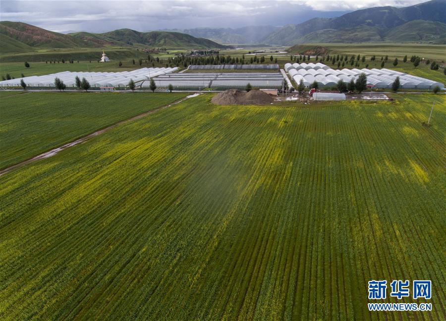 (兩會(huì)前夕看落實(shí)·圖文互動(dòng))(6)“飛針走線”“繡”出小康畫卷——四川落實(shí)習(xí)近平總書記全國(guó)兩會(huì)重要講話精神紀(jì)實(shí)