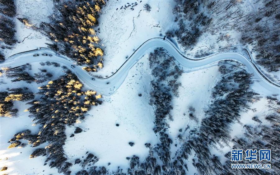 (兩會前夕看落實(shí)·圖文互動)(6)牢記囑托增進(jìn)民族團(tuán)結(jié) 凝心聚力建設(shè)美麗新疆——新疆落實(shí)習(xí)近平總書記全國兩會重要講話精神紀(jì)實(shí)