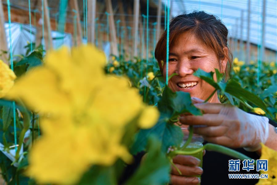 (兩會(huì)前夕看落實(shí)·圖文互動(dòng))(4)融合“三生三美” 打造鄉(xiāng)村振興齊魯樣板——山東落實(shí)習(xí)近平總書記全國兩會(huì)重要講話精神紀(jì)實(shí)