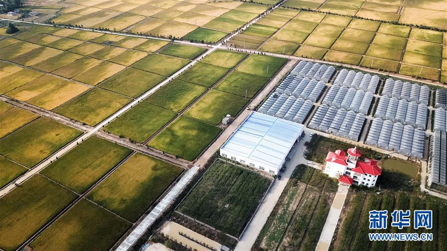 （新華全媒頭條&middot;愛國情 奮斗者&middot;圖文互動(dòng)）（8）一個(gè)村的奮斗，一個(gè)時(shí)代的巨變&mdash;&mdash;記敢&ldquo;蹚新路&rdquo;的小崗人