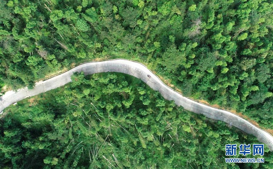 （中國網(wǎng)事&middot;感動2019&middot;圖文互動）（7）鄉(xiāng)村教師高自仁：60多根拐杖，撐起42年教學路