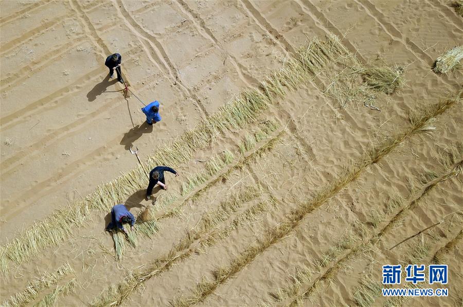 （新華全媒頭條&middot;圖文互動(dòng)）（9）八步沙&middot;六老漢&middot;三代人