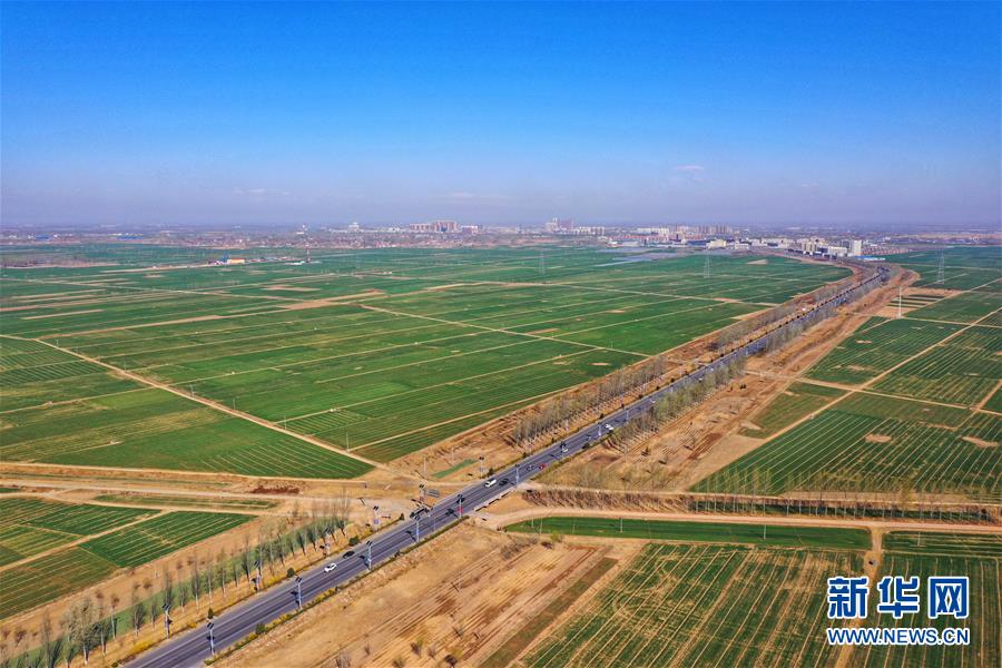 （新華全媒頭條&middot;圖文互動）（2）奮進，向著未來之城！&mdash;&mdash;河北雄安新區(qū)建設(shè)發(fā)展兩周年紀實