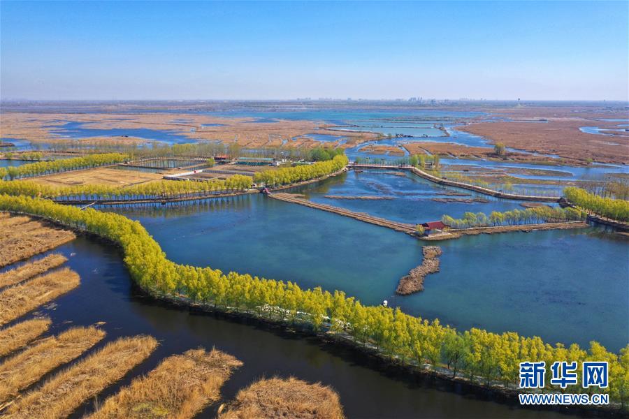 （新華全媒頭條&middot;圖文互動）（5）奮進，向著未來之城！&mdash;&mdash;河北雄安新區(qū)建設(shè)發(fā)展兩周年紀實