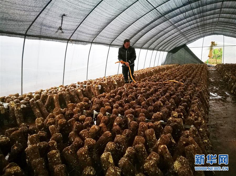 （新華全媒頭條&middot;圖文互動）（1）以生命赴使命 用熱血鑄忠魂&mdash;&mdash;記犧牲在脫貧攻堅(jiān)戰(zhàn)場上的英雄們