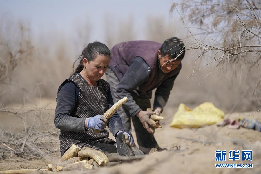 （新華全媒頭條&middot;圖文互動(dòng)）（6）一步千年，&ldquo;最后的沙漠部落&rdquo;遷入新家園