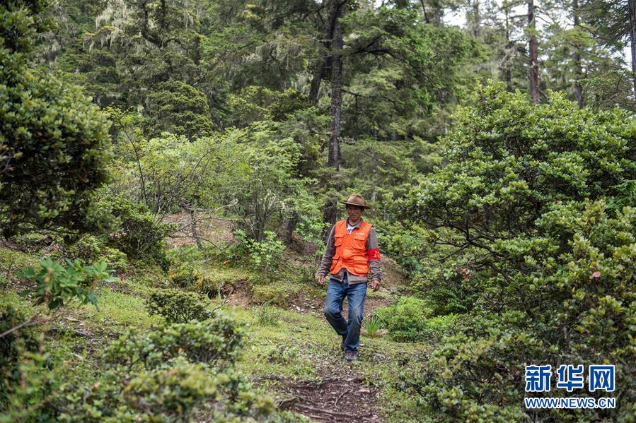 (新華全媒頭條·北京世園會·圖文互動)(13)建設美麗中國 共筑綠色家園——寫在2019年中國北京世界園藝博覽會開幕之際