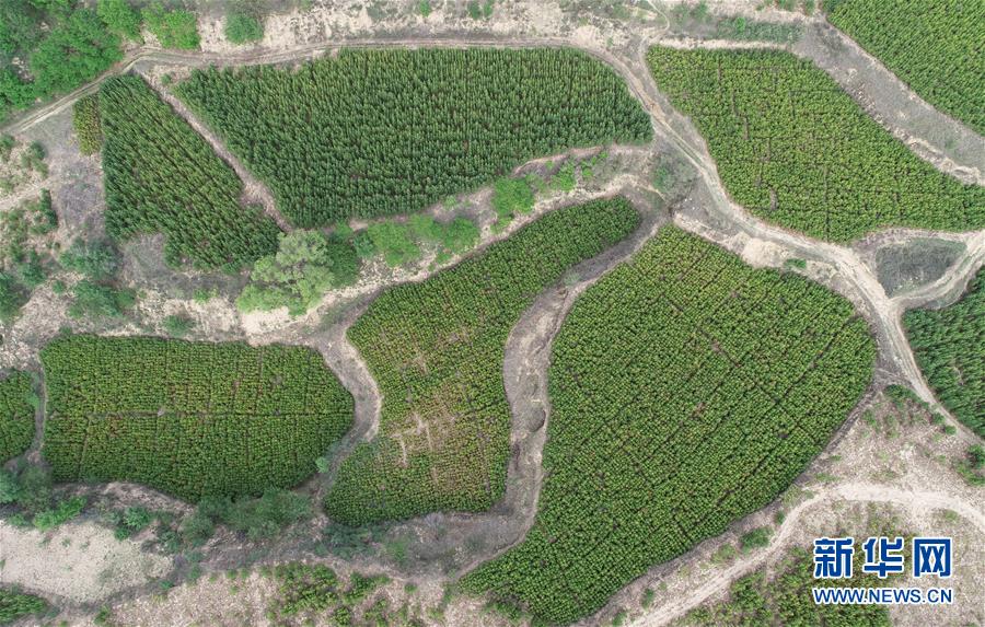 (新華全媒頭條·北京世園會(huì)·圖文互動(dòng))(8)共繪人類生態(tài)文明美麗畫卷——從北京世園會(huì)看中國(guó)綠色發(fā)展的“世界貢獻(xiàn)”