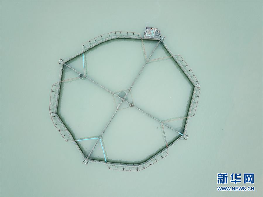 （壯麗70年&middot;奮斗新時(shí)代&middot;圖文互動(dòng)）（5）&ldquo;東海明珠&rdquo;挺立一座&ldquo;精神燈塔&rdquo;&mdash;&mdash;追尋浙江臺州大陳島墾荒精神