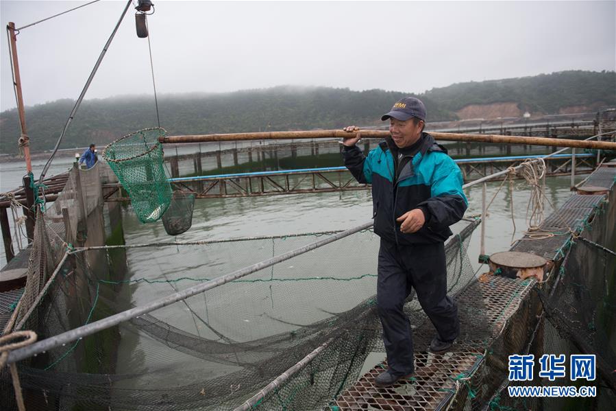 （壯麗70年&middot;奮斗新時(shí)代&middot;圖文互動(dòng)）（6）&ldquo;東海明珠&rdquo;挺立一座&ldquo;精神燈塔&rdquo;&mdash;&mdash;追尋浙江臺州大陳島墾荒精神