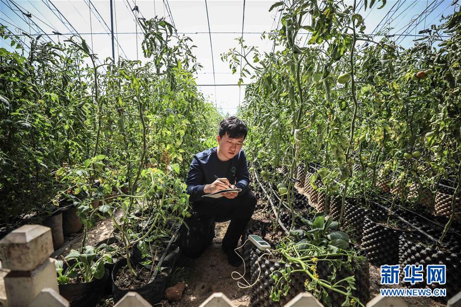 （新華全媒頭條&middot;圖文互動(dòng)）（5）青春萬歲 強(qiáng)國有我