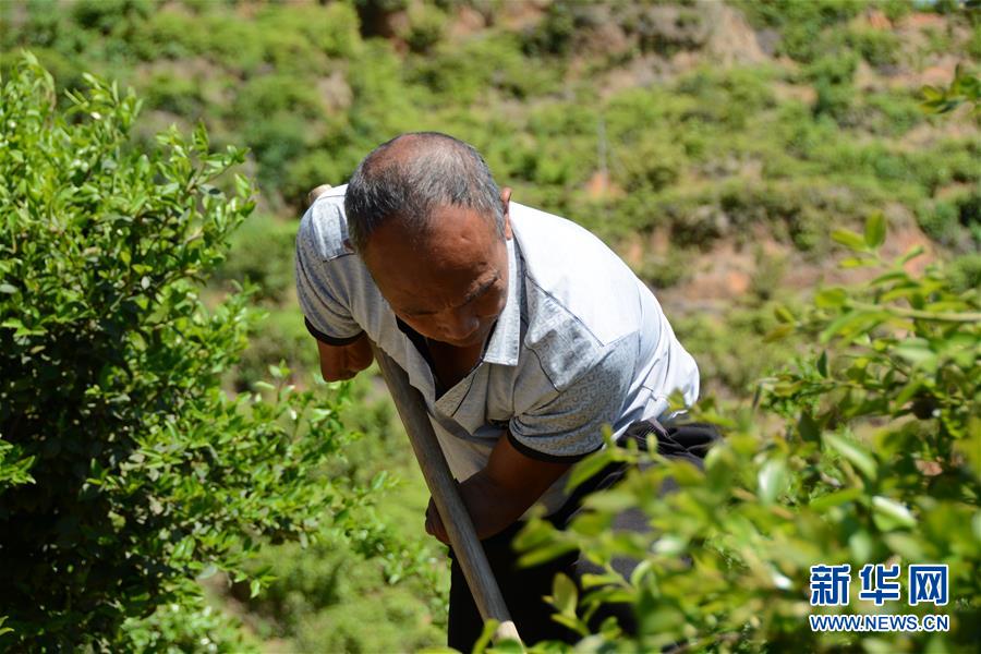 (壯麗70年&middot;奮斗新時(shí)代&middot;圖文互動(dòng)）（1）福建長(zhǎng)?。簱Q顏&ldquo;山光水濁&rdquo; 永駐綠水青山