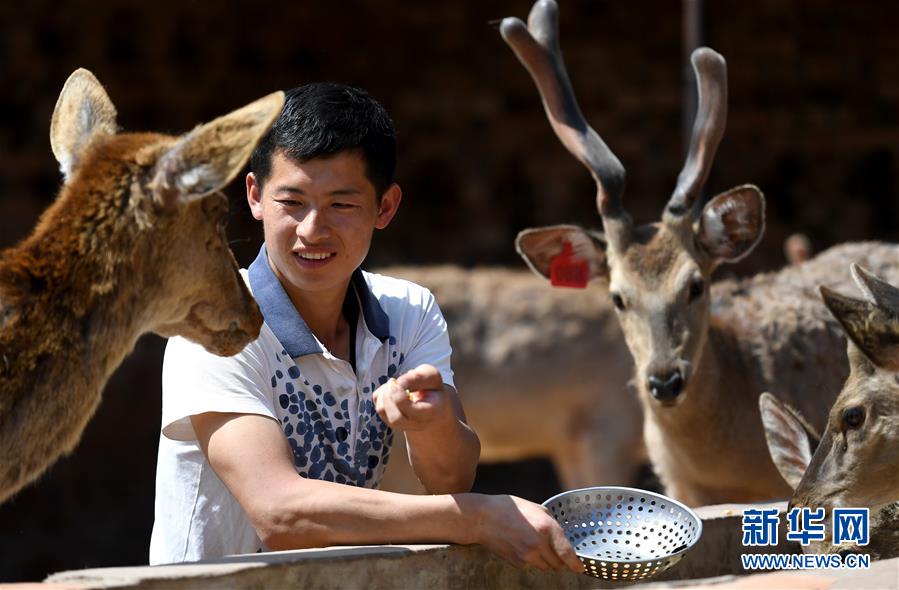 （新華全媒頭條&middot;圖文互動(dòng)）（6）追夢(mèng)在新時(shí)代的春天里&mdash;&mdash;革命圣地延安告別絕對(duì)貧困巡禮