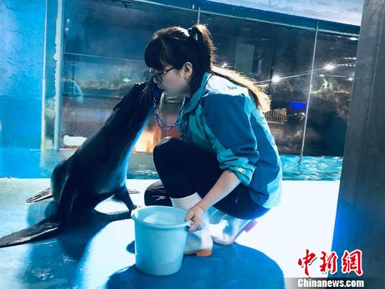 于雅麗與海獅親密瞬間?！“瑧c龍 攝