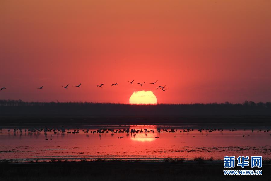 (北京世園會·圖文互動)(3)吉林分區(qū)域推進(jìn)生態(tài)保護(hù) 讓綠色發(fā)展底氣更足