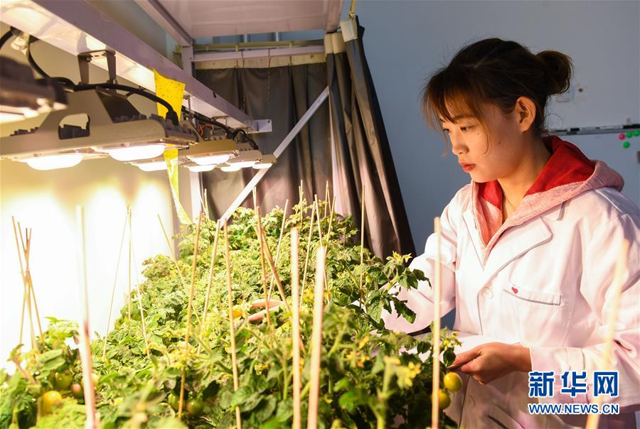 (圖文互動(dòng))(3)柳暗花明又一村——“今日之中國(guó)”系列述評(píng)之三