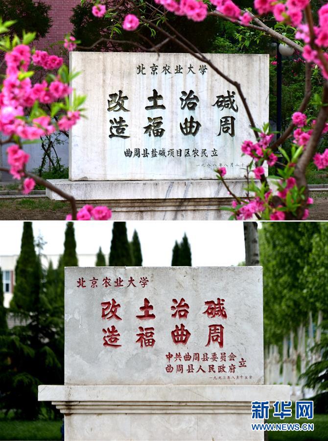 （新華全媒頭條&middot;愛國(guó)情 奮斗者&middot;圖文互動(dòng)）（2）把論文寫在祖國(guó)的大地上&mdash;&mdash;中國(guó)農(nóng)業(yè)大學(xué)46年扎根河北曲周服務(wù)鄉(xiāng)村振興紀(jì)實(shí)