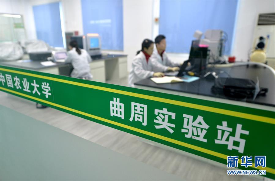 （新華全媒頭條&middot;愛國(guó)情 奮斗者&middot;圖文互動(dòng)）（10）把論文寫在祖國(guó)的大地上&mdash;&mdash;中國(guó)農(nóng)業(yè)大學(xué)46年扎根河北曲周服務(wù)鄉(xiāng)村振興紀(jì)實(shí)