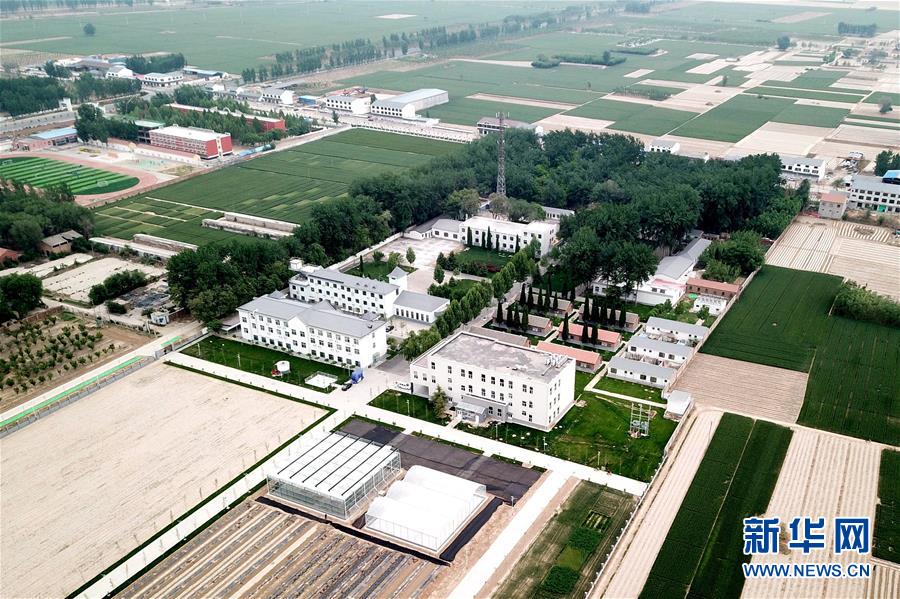 （新華全媒頭條&middot;愛國(guó)情 奮斗者&middot;圖文互動(dòng)）（12）把論文寫在祖國(guó)的大地上&mdash;&mdash;中國(guó)農(nóng)業(yè)大學(xué)46年扎根河北曲周服務(wù)鄉(xiāng)村振興紀(jì)實(shí)