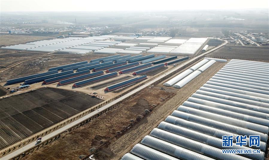 (在習(xí)近平新時(shí)代中國(guó)特色社會(huì)主義思想指引下——新時(shí)代新作為新篇章·圖文互動(dòng))(3)“無(wú)人作業(yè)”來(lái)臨 綠色食品“當(dāng)家”——黑龍江探索現(xiàn)代農(nóng)業(yè)發(fā)展路徑