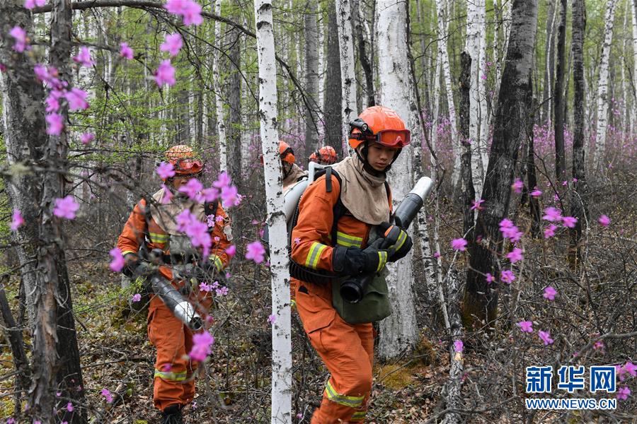 (壯麗70年·奮斗新時代·圖文互動)(3)林海孤島唱響冰與火之歌——記內(nèi)蒙古森林消防總隊(duì)大興安嶺支隊(duì)奇乾中隊(duì)