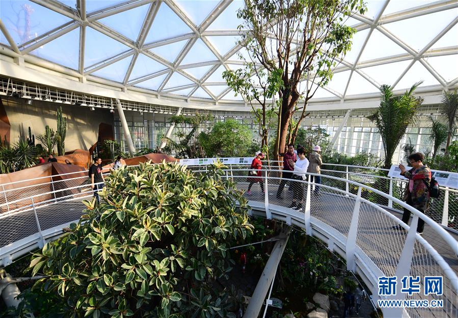 （在習(xí)近平新時(shí)代中國(guó)特色社會(huì)主義思想指引下&mdash;&mdash;新時(shí)代新作為新篇章&middot;圖文互動(dòng)）（10）從世園會(huì)&ldquo;看&rdquo;中國(guó)綠色發(fā)展之路&mdash;&mdash;寫在北京世園會(huì)&ldquo;中國(guó)國(guó)家館日&rdquo;到來之際