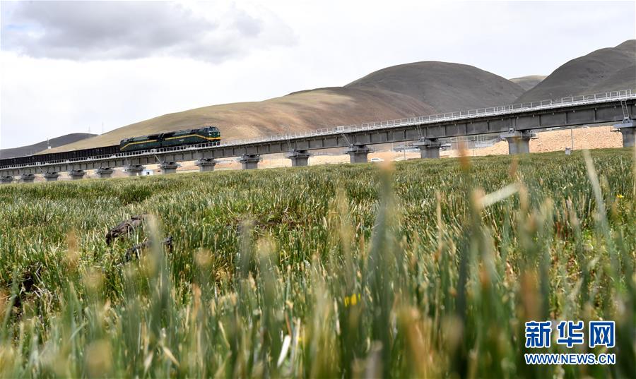 （新華全媒頭條&middot;壯麗70年&middot;奮斗新時代&middot;圖文互動）（15）開拓雪域高原的夢想之路&mdash;&mdash;來自青藏鐵路的蹲點報告