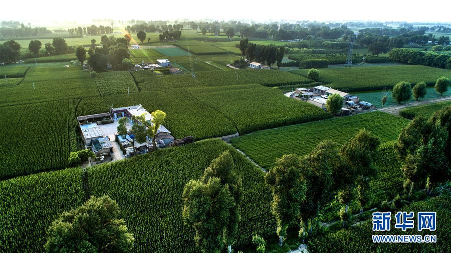 （權(quán)威訪談&middot;聚焦中國(guó)經(jīng)濟(jì)亮點(diǎn)&middot;圖文互動(dòng)）（2）防治土地荒漠化 推動(dòng)綠色發(fā)展&mdash;&mdash;專(zhuān)訪國(guó)家林業(yè)和草原局副局長(zhǎng)劉東生