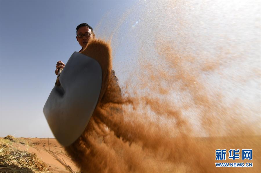 （權(quán)威訪談&middot;聚焦中國(guó)經(jīng)濟(jì)亮點(diǎn)&middot;圖文互動(dòng)）（10）防治土地荒漠化 推動(dòng)綠色發(fā)展&mdash;&mdash;專(zhuān)訪國(guó)家林業(yè)和草原局副局長(zhǎng)劉東生