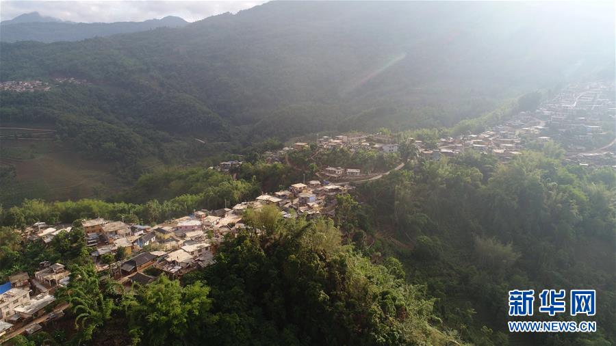 (直過民族脫貧攻堅(jiān)·圖文互動)(1)又見白鷴鳥