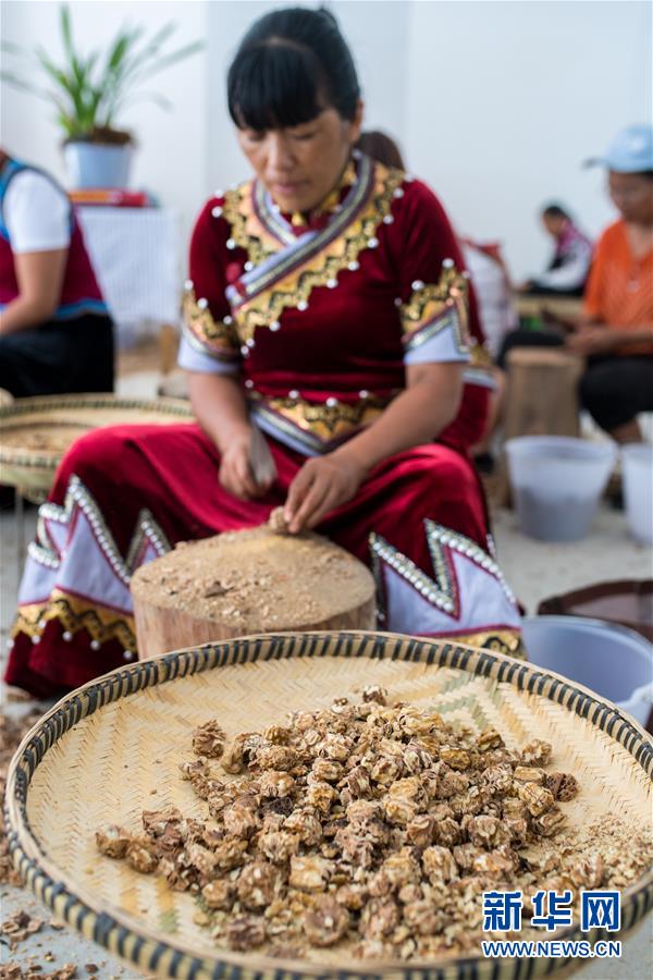 （直過民族脫貧攻堅(jiān)&middot;圖文互動(dòng)）（5）下山！傈僳群眾開啟新生活